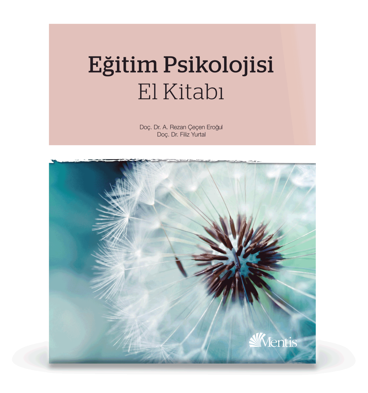 Eğitim Psikolojisi El Kitabı